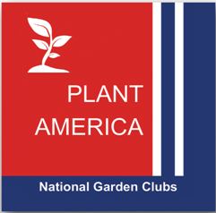 Plant America Button