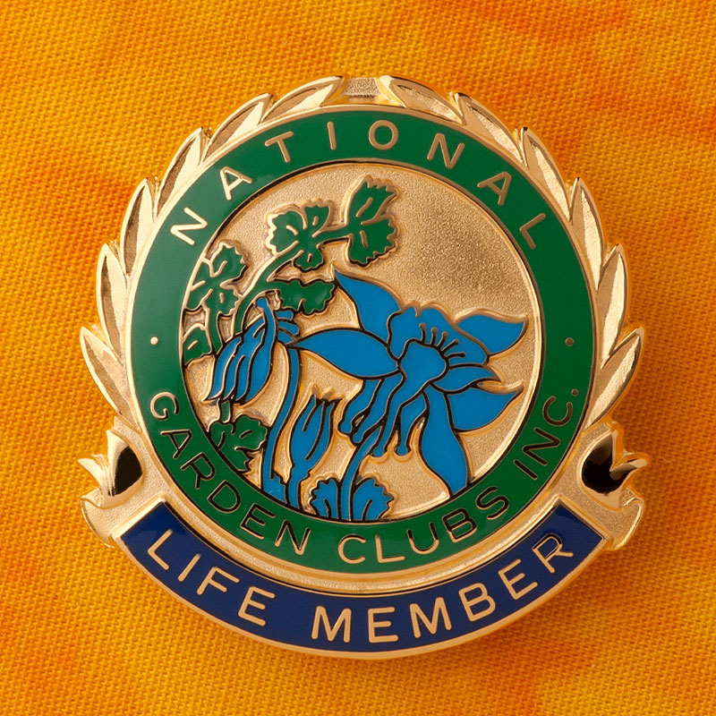 National Life Member Pin