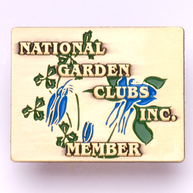NGC Membership Pin