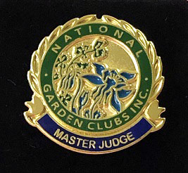 Master Judge Pin