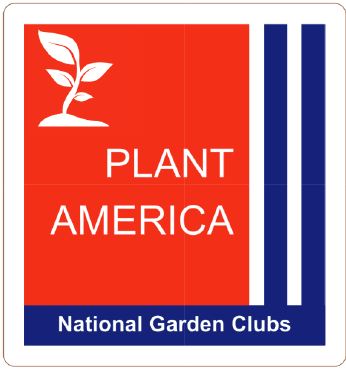 Plant America Car Magnet