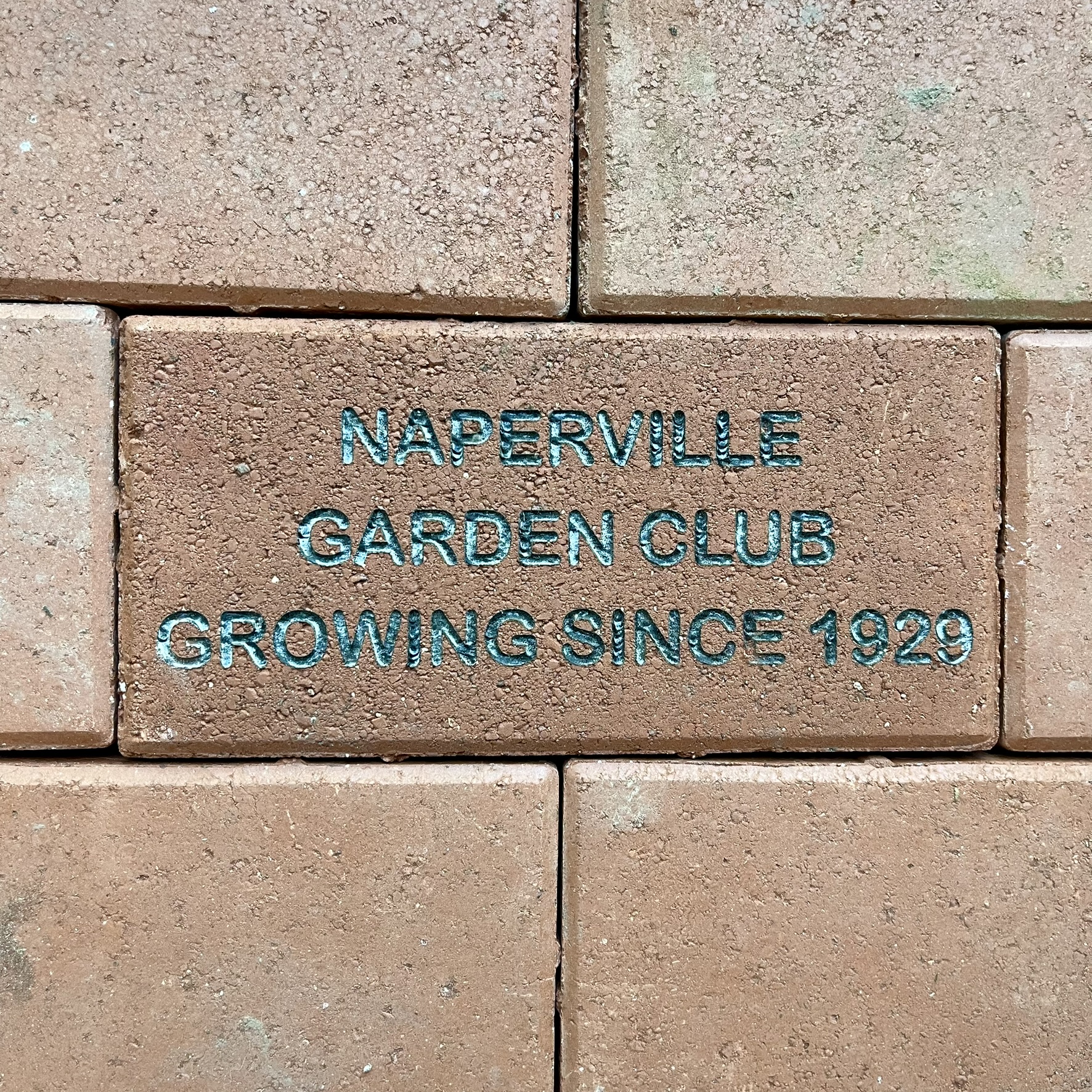 Naperville Garden Club