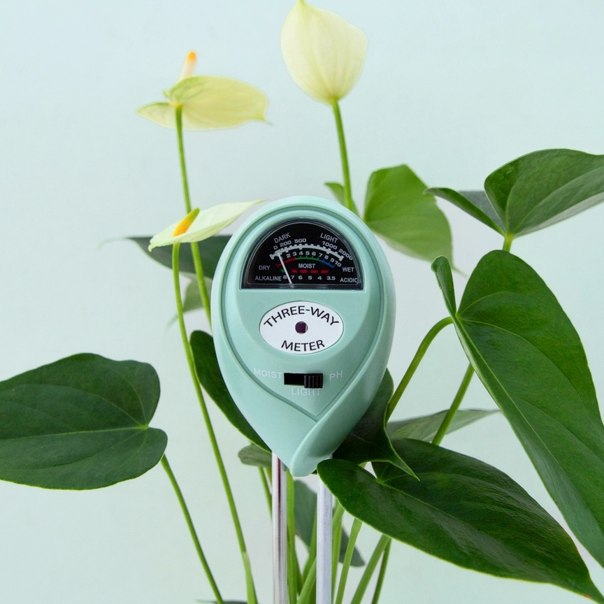 3-in-1 moisture meter