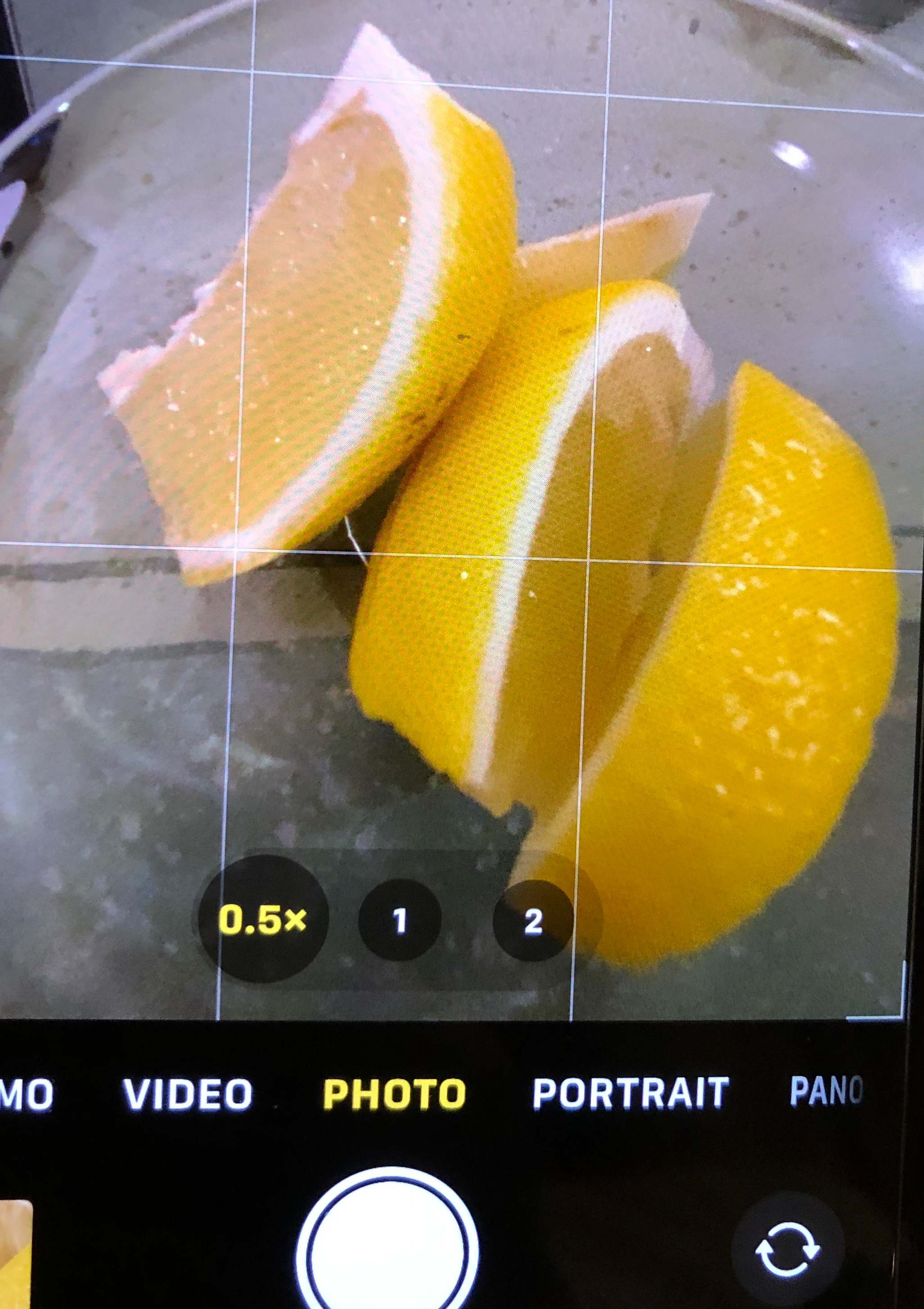 View of lemons