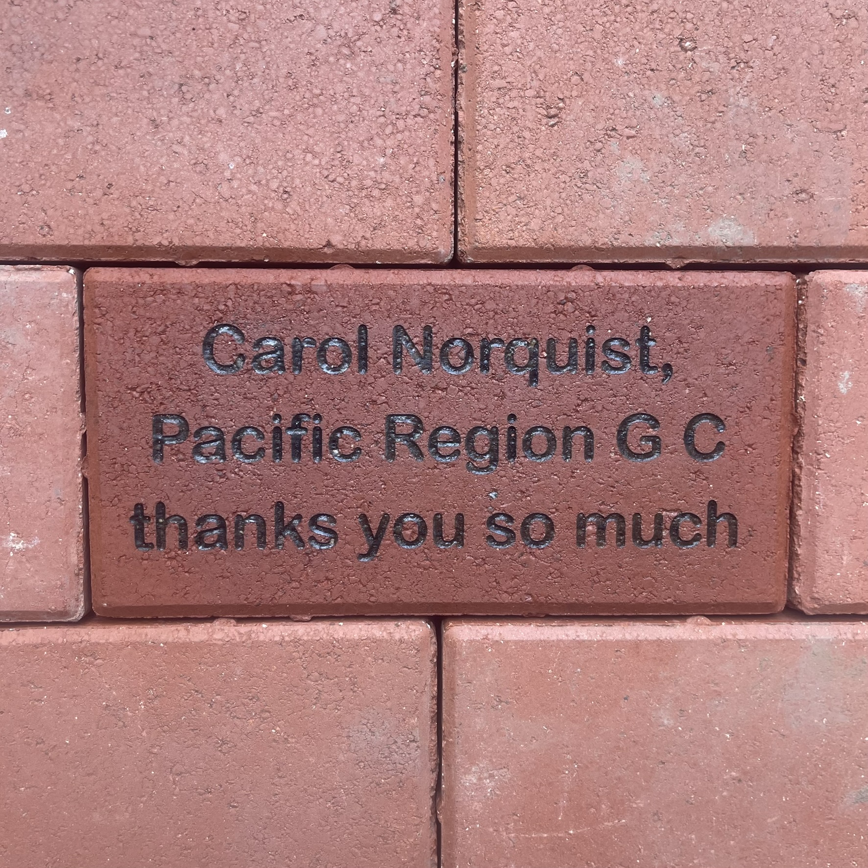 Carol Norquist