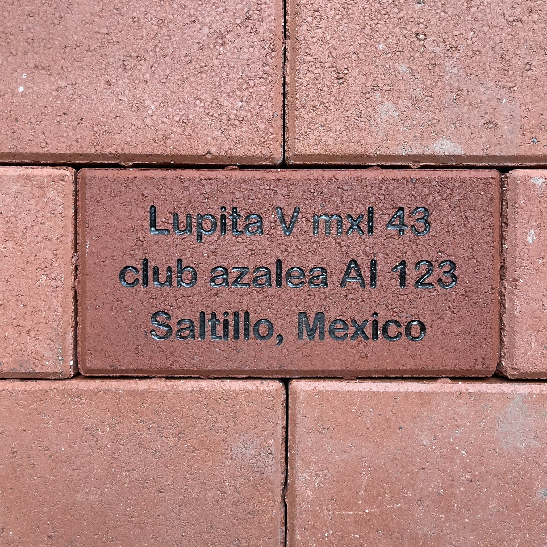 Lupita V