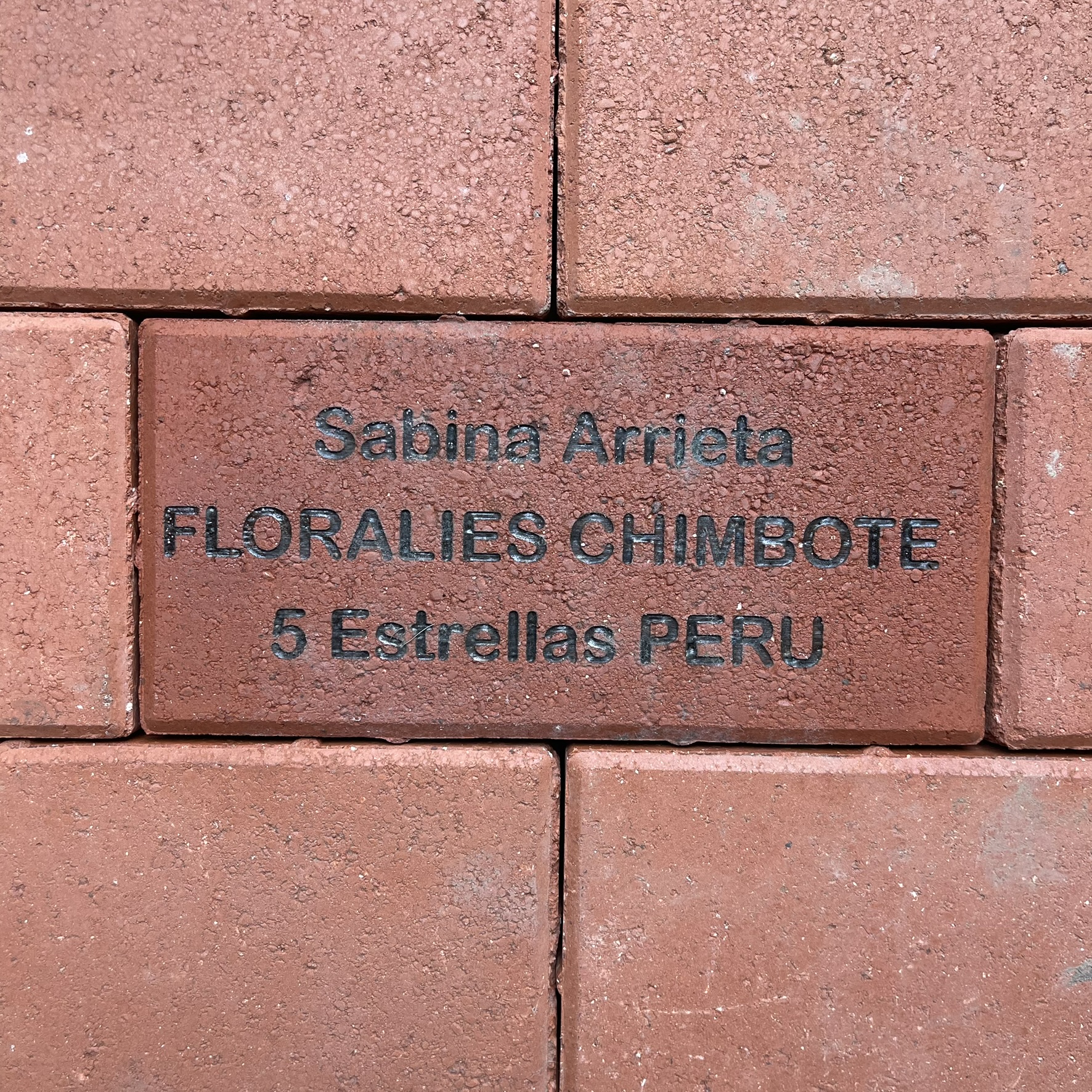 Sabina Arrieta