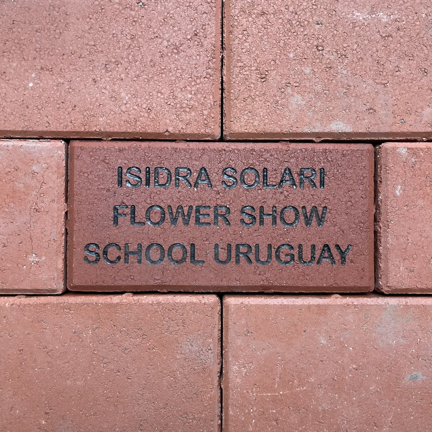 Isidra Solari