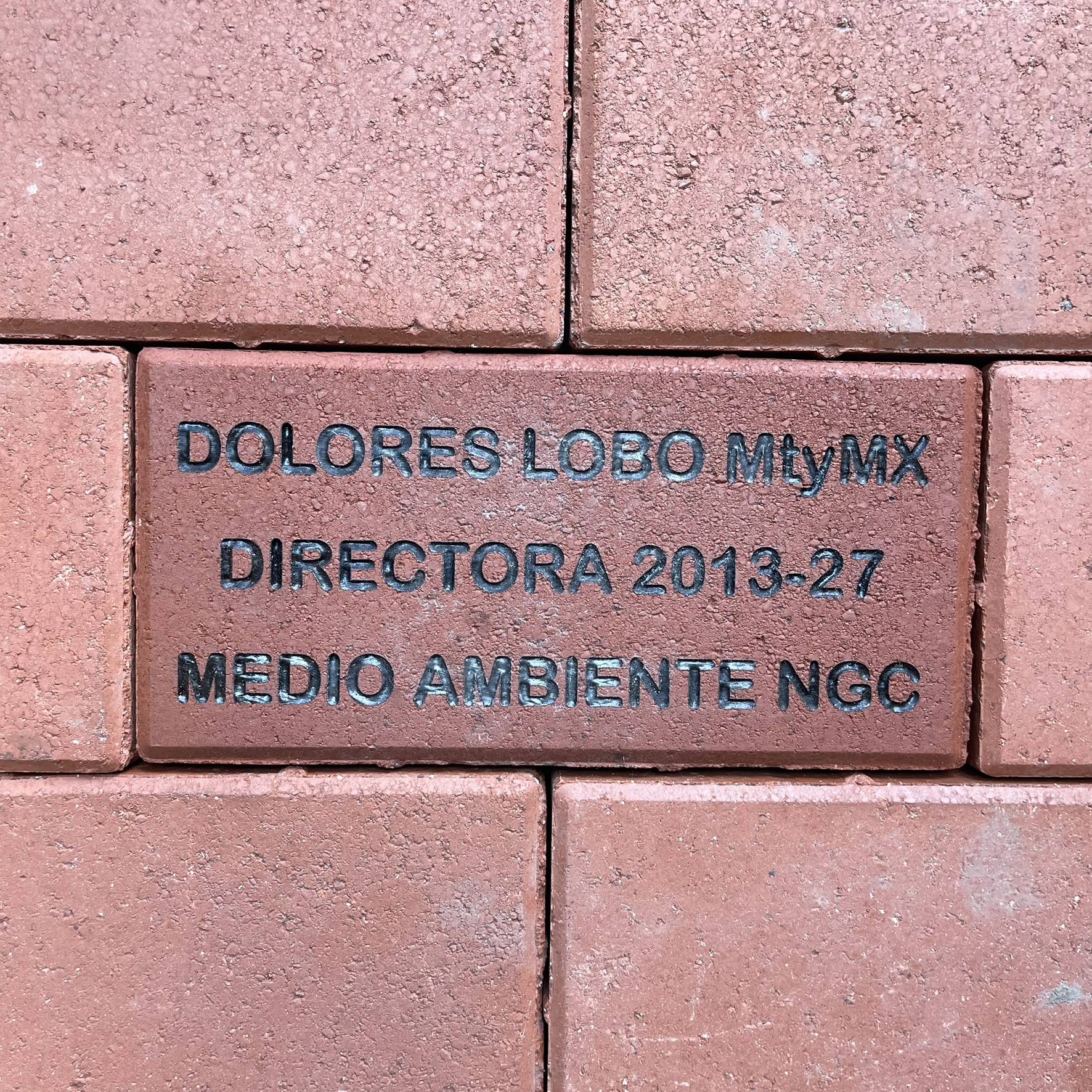 ia-dl-es