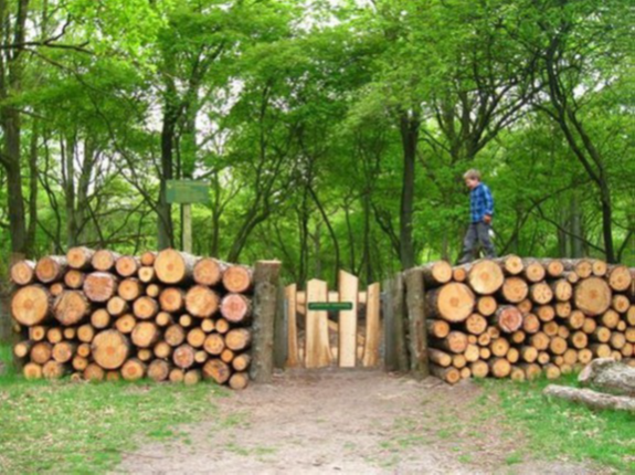 Fence and gate made from trees