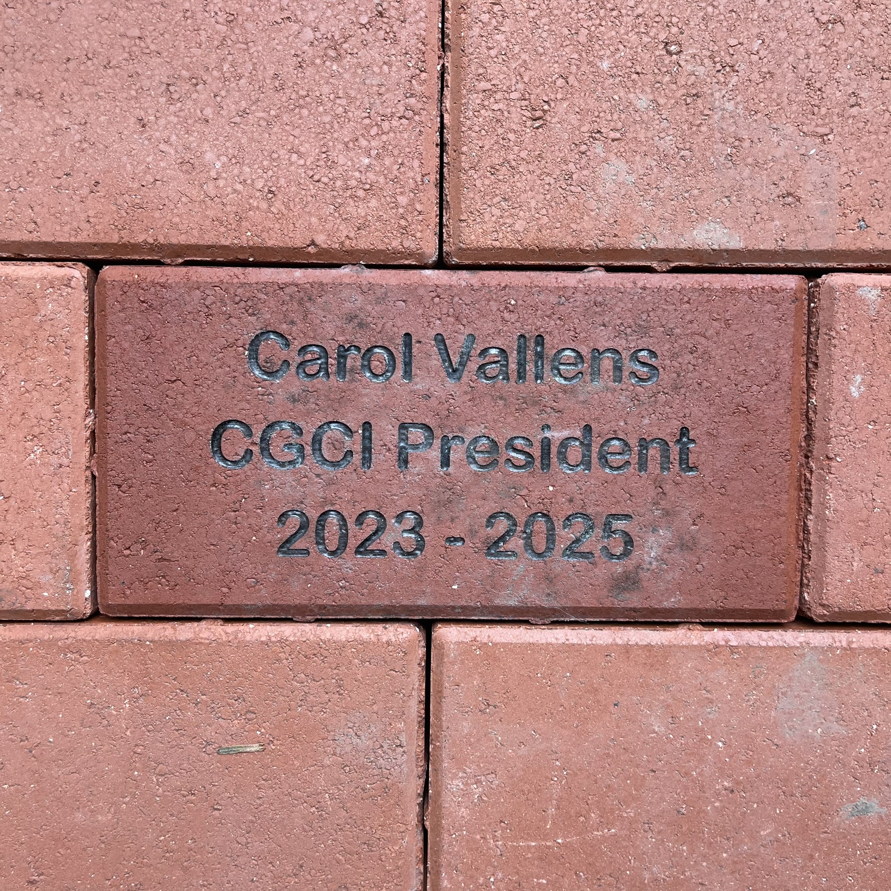 Carol Vallens
