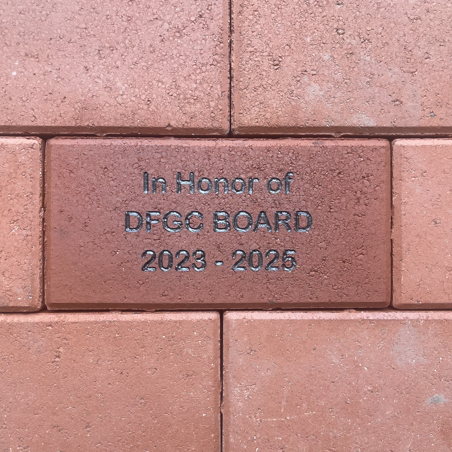 dfgc board