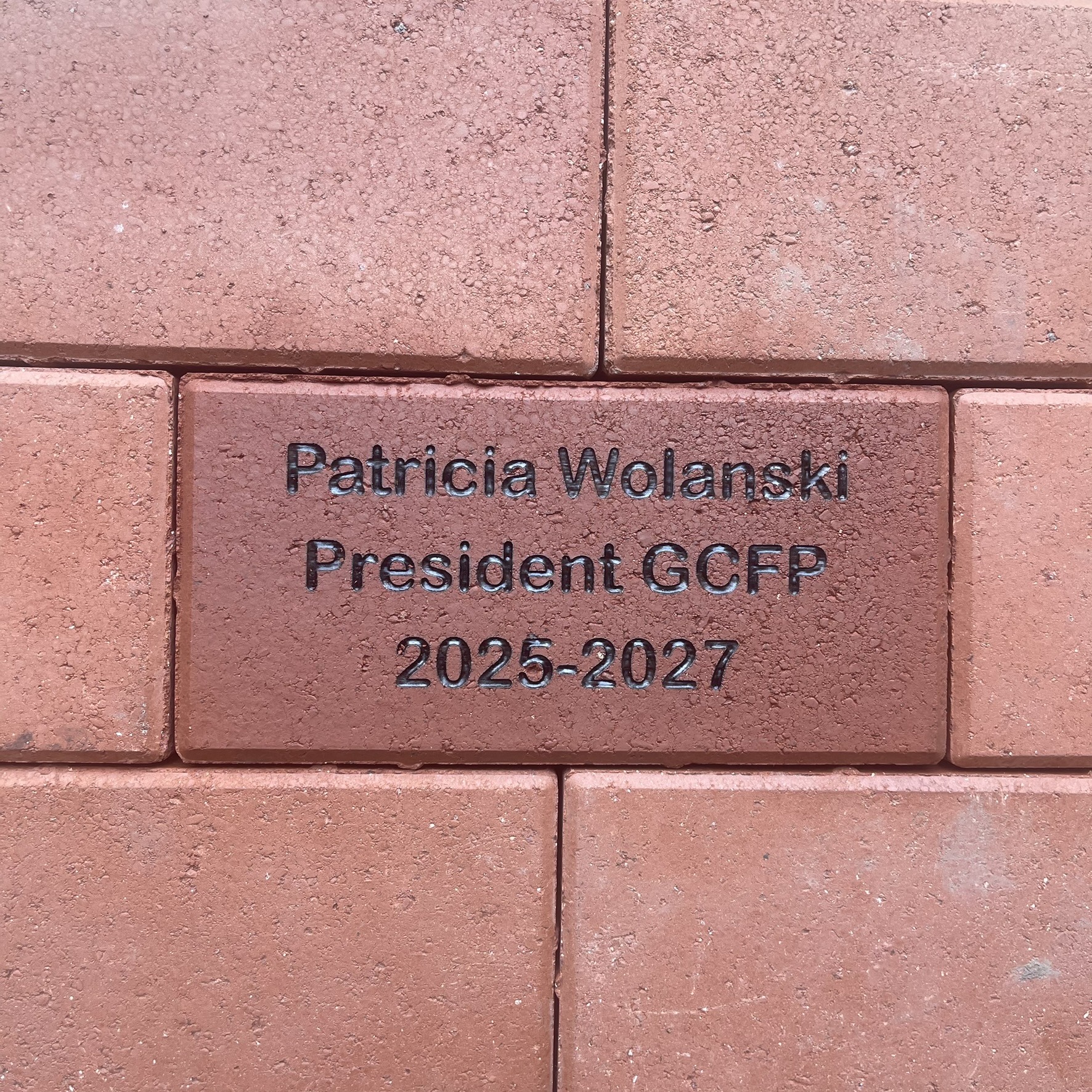 patricia wolanski