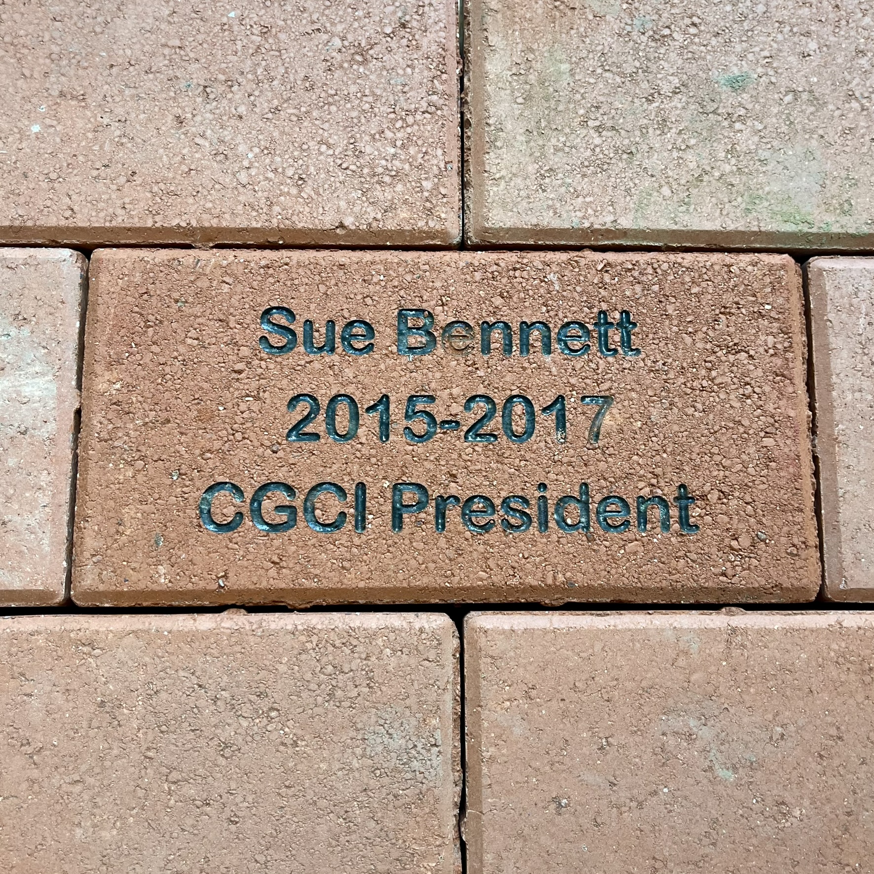 Sue Bennett