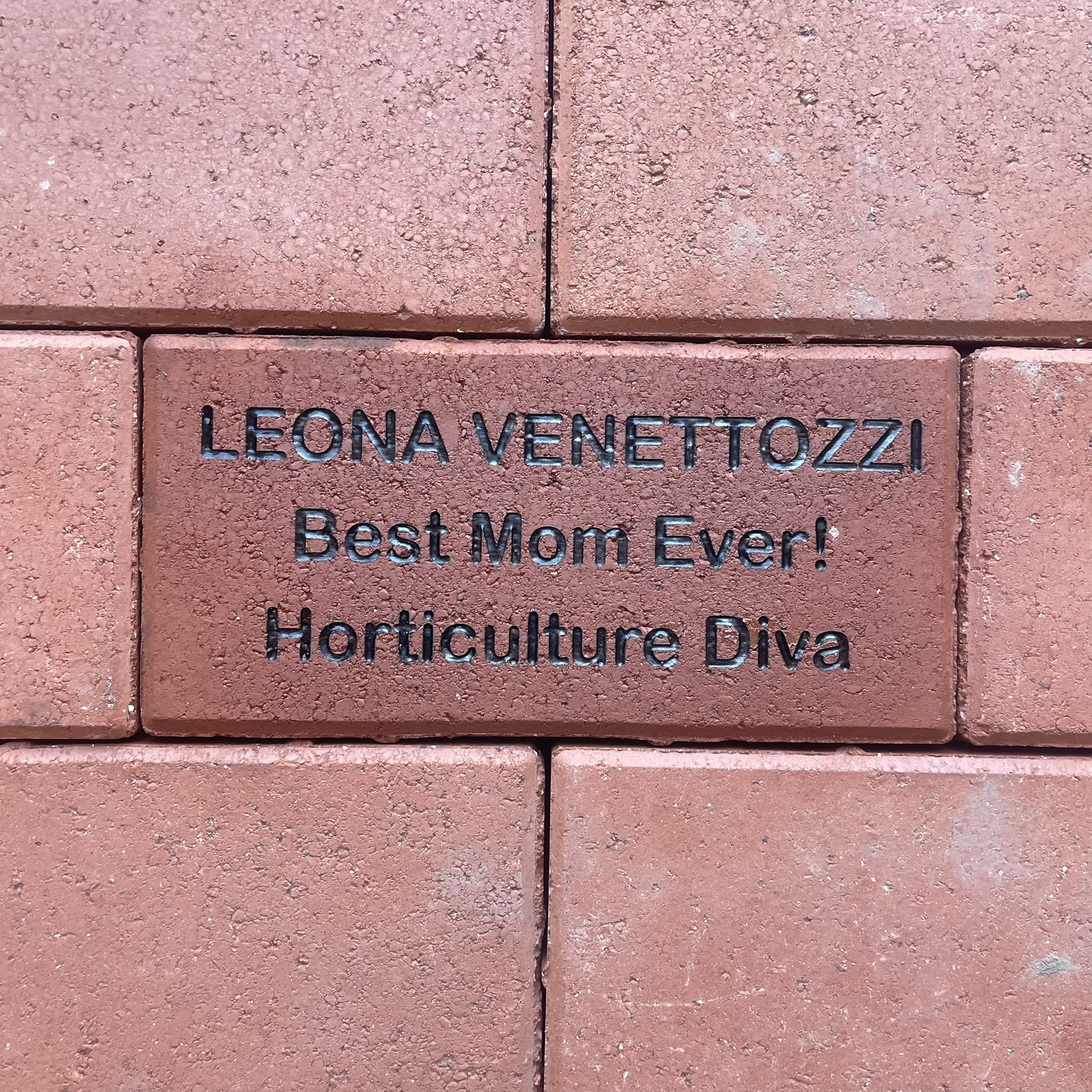 leona venettozzi