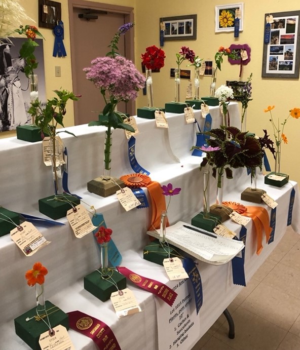 Standard Flower Show Handbook