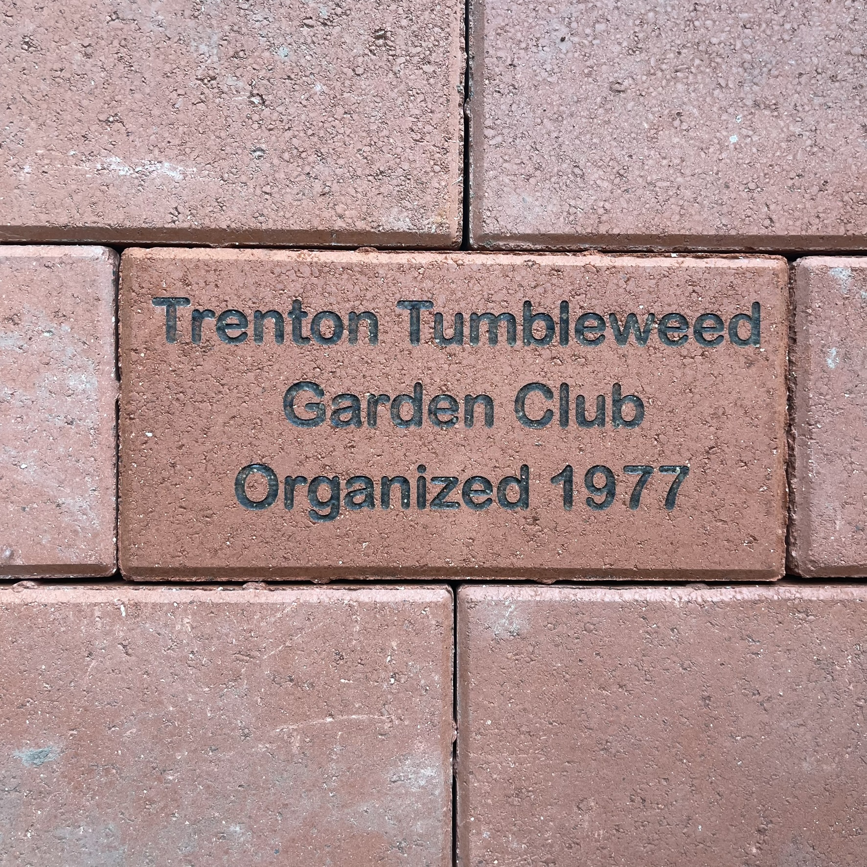 Trenton Tumbleweed GC