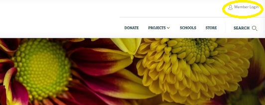 A close up of a flower</p>
<p>AI-generated content may be incorrect.