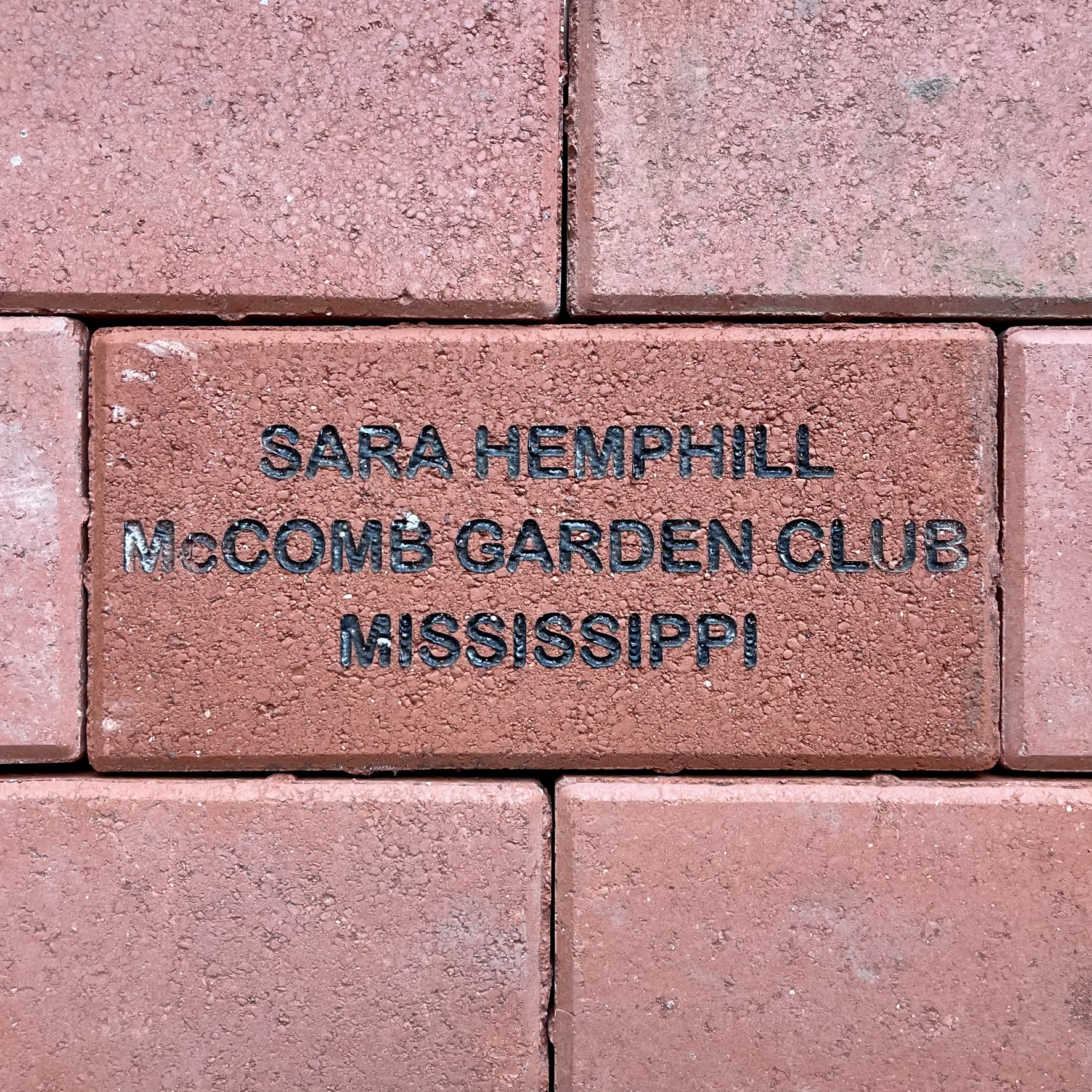 Sara Hemphill