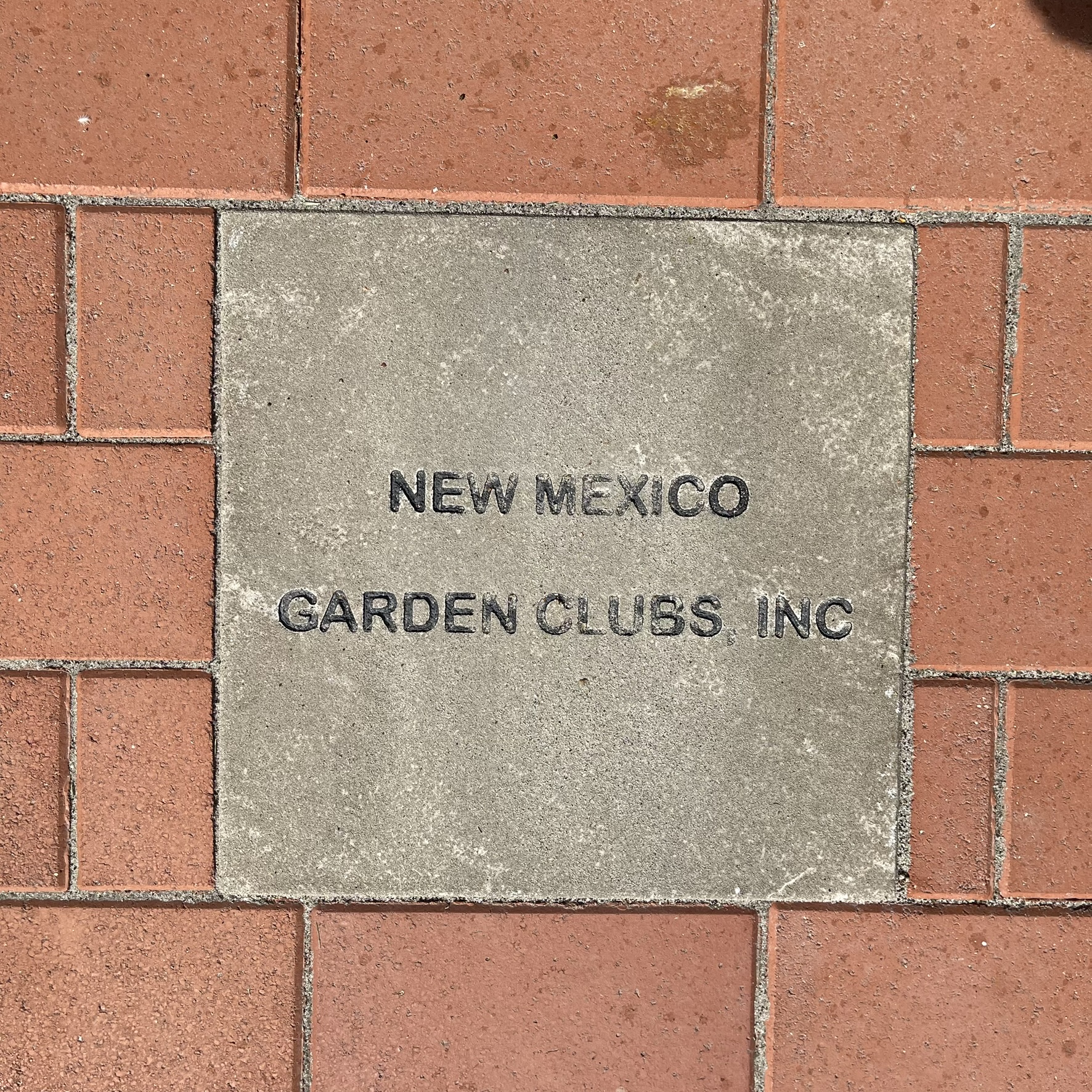 New Mexico State