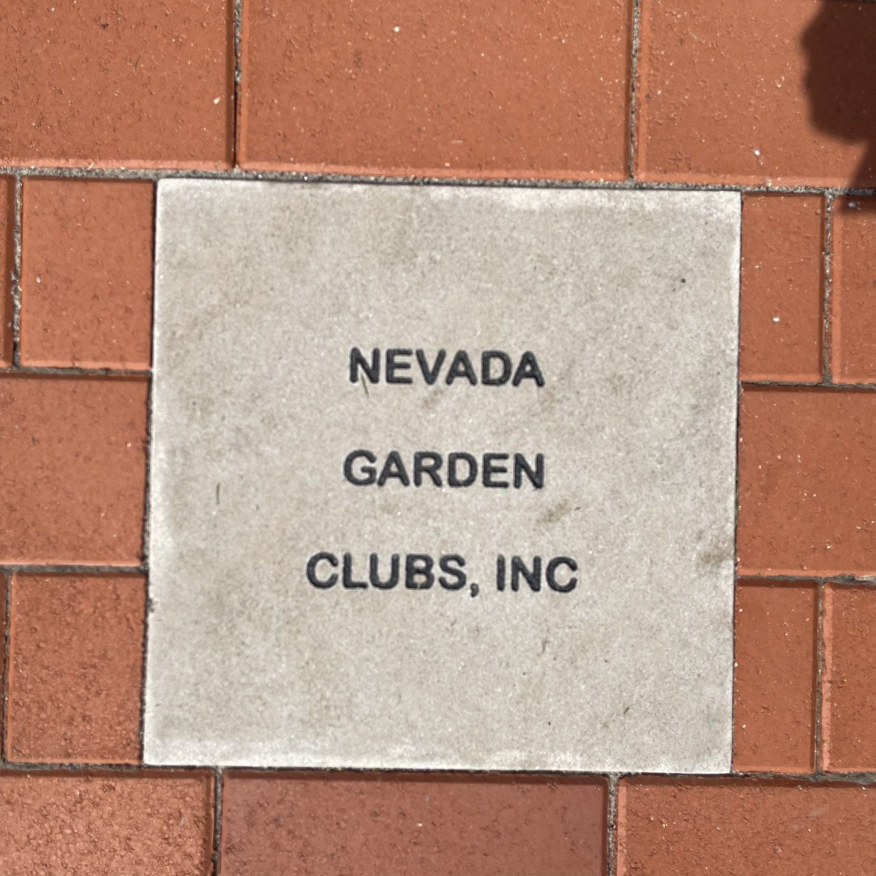 Nevada State