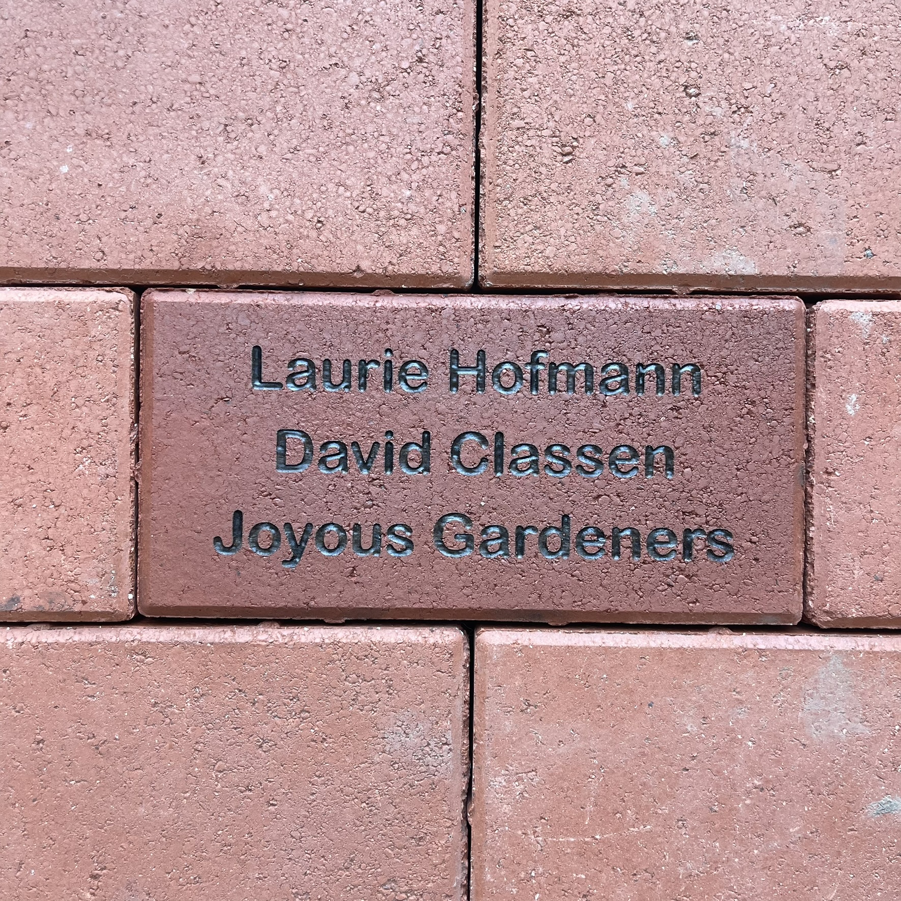 laurie hofman david classen