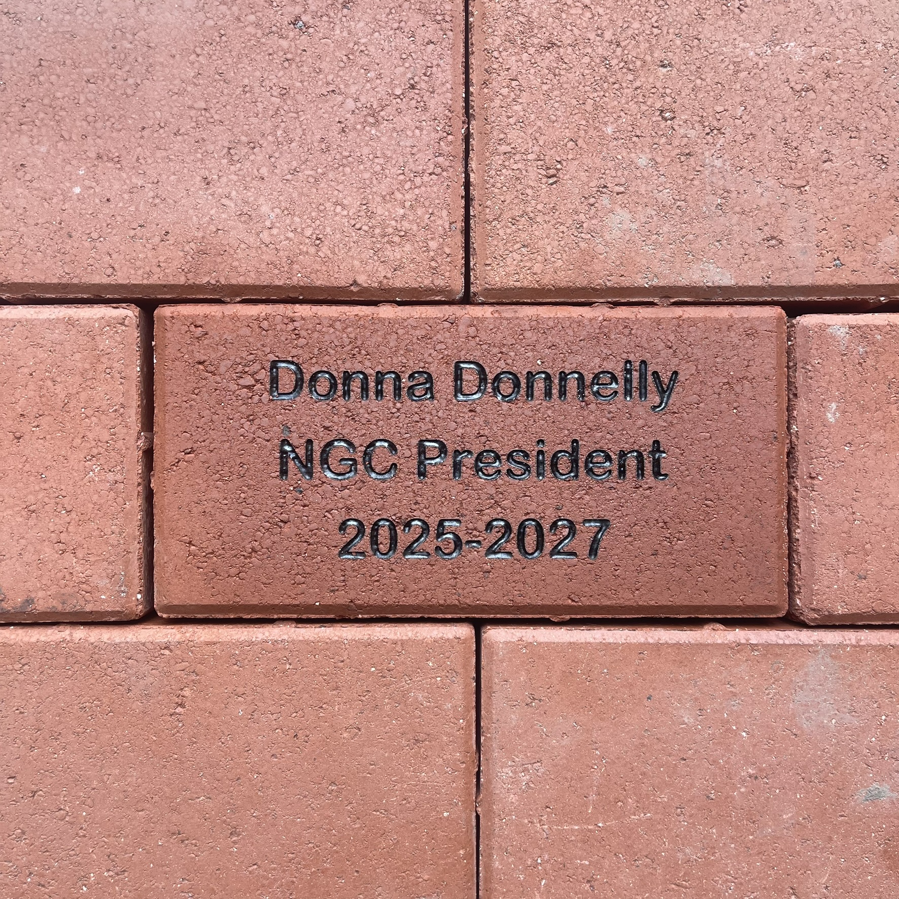 donna donnelly