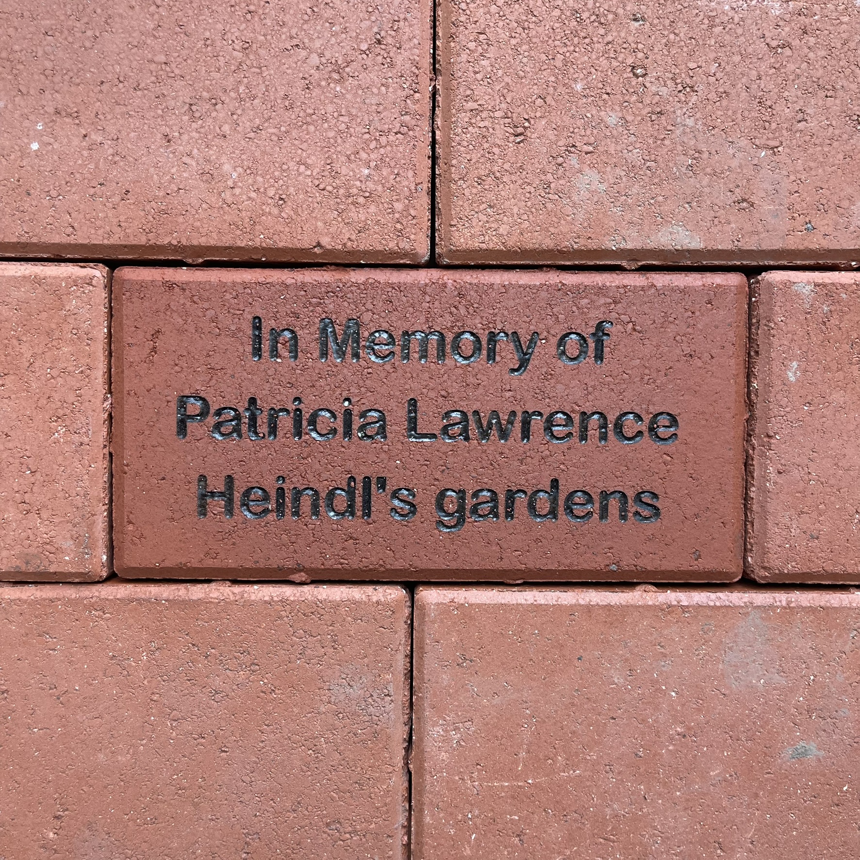 Patricia Lawrence