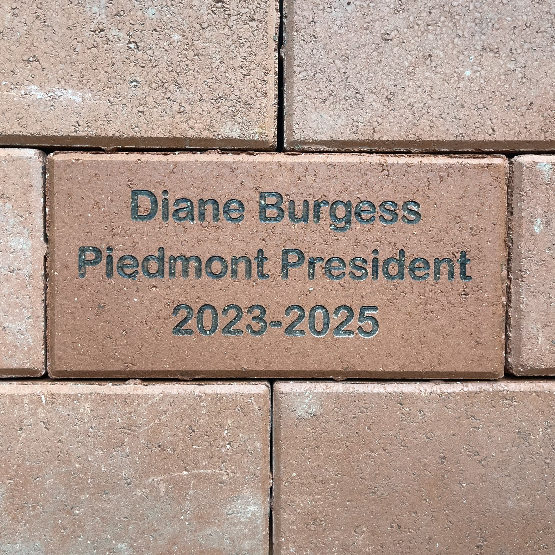 Diane Burgess