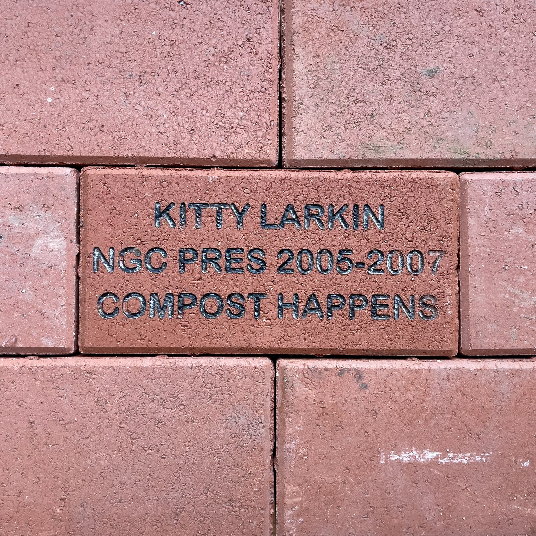 Kitty Larkin