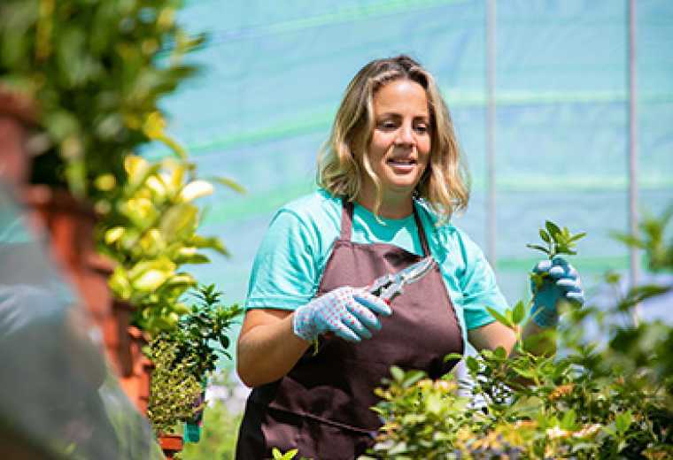 Gardening School