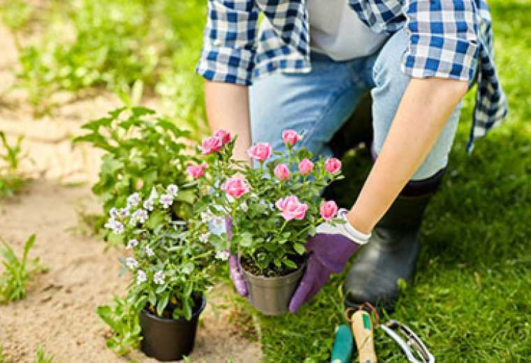 Flower School