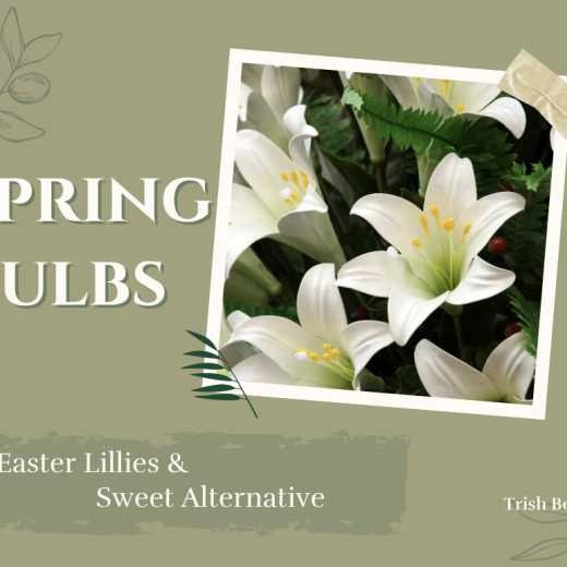 Lilies