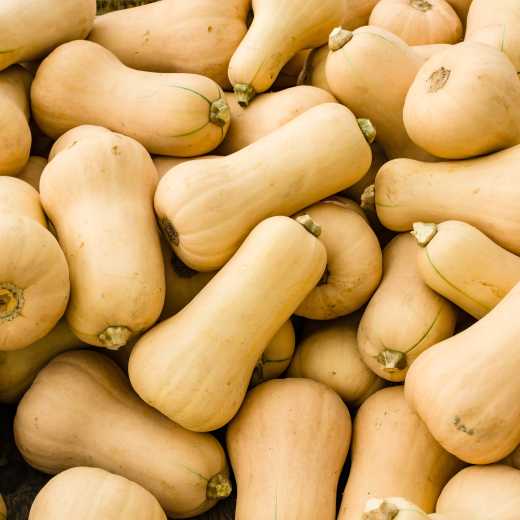 squash