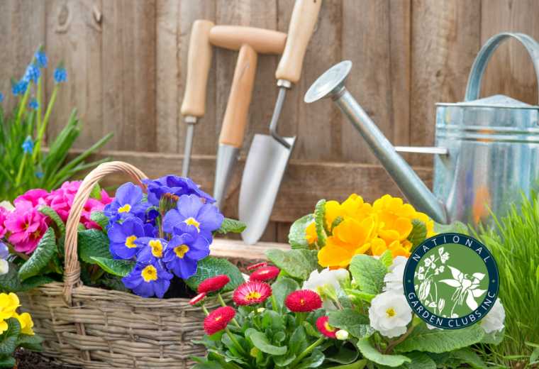 Representation of environmental, landscape design, and gardening schools