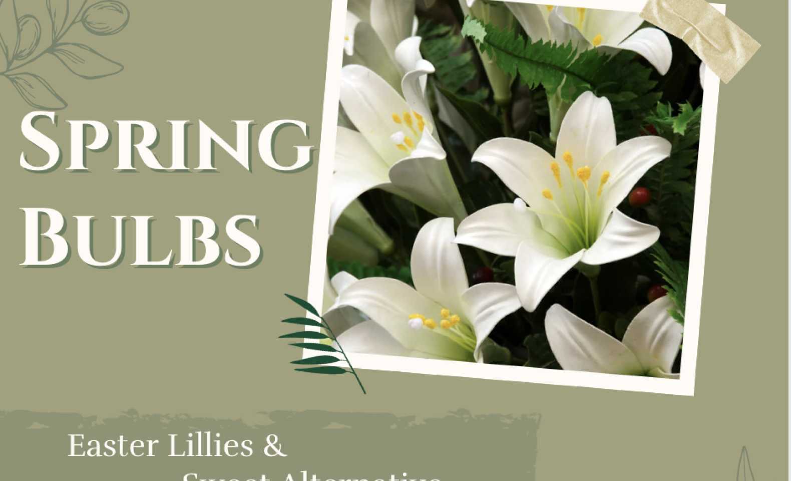 Lilies