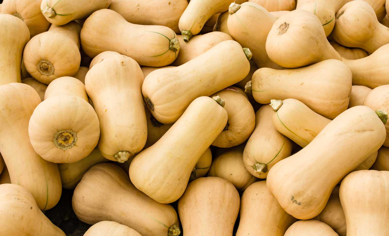 squash