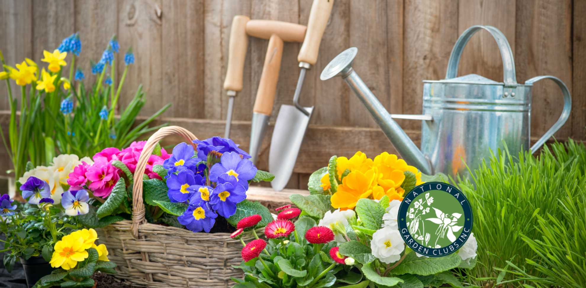 Representation of environmental, landscape design, and gardening schools