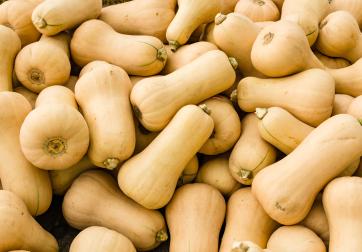 squash 