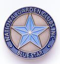 Blue Star Memorial Pin