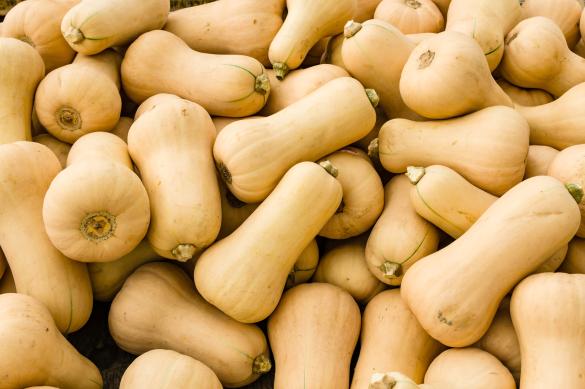 squash