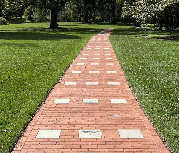 Path of Success