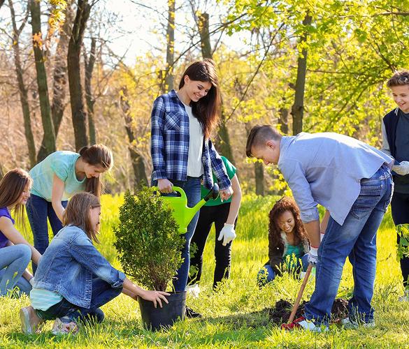 Environmental School