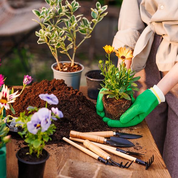 Gardening School