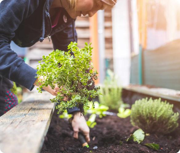 Gardening School
